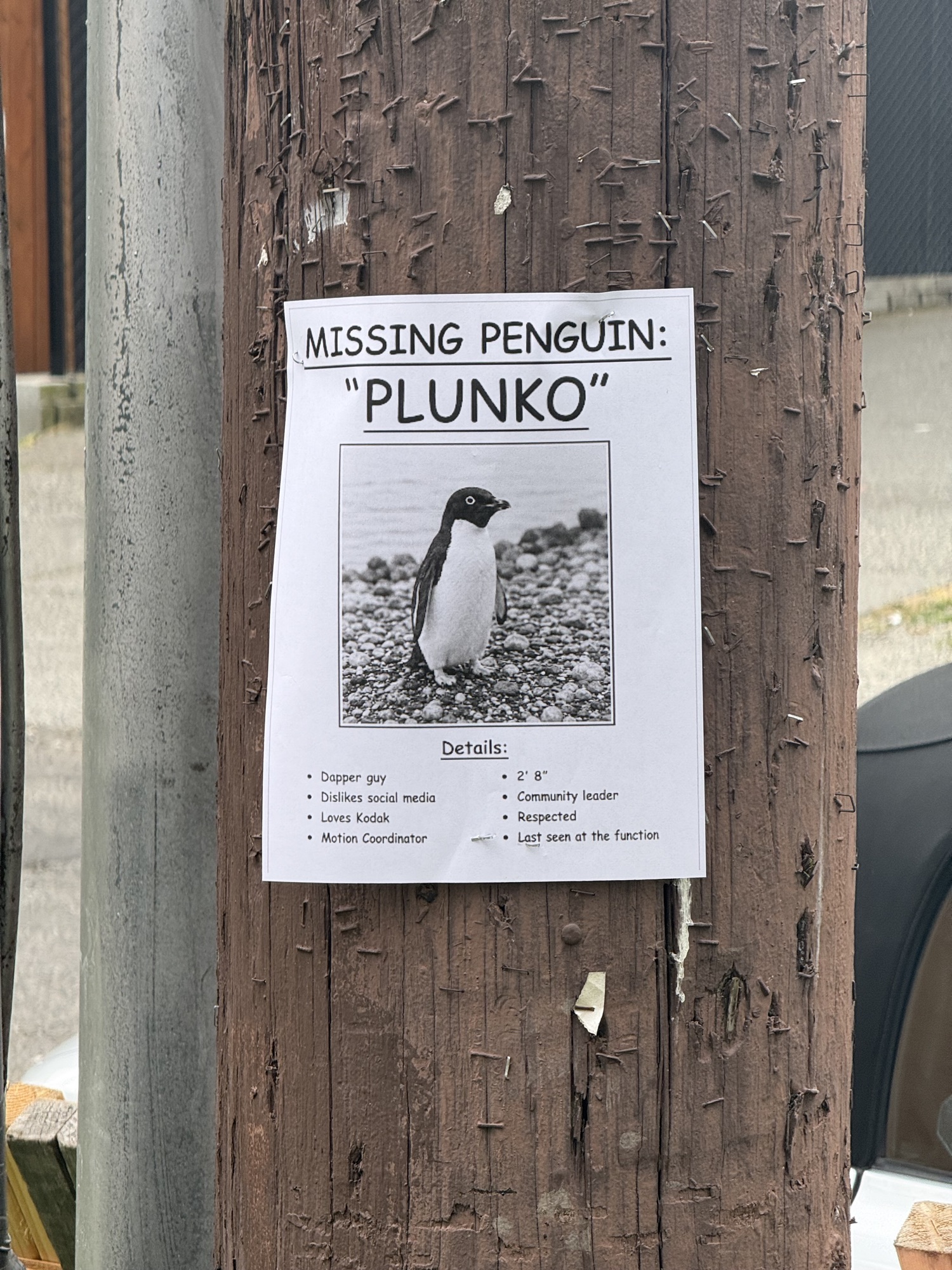 Recent photo from Seattle, Washington, United States